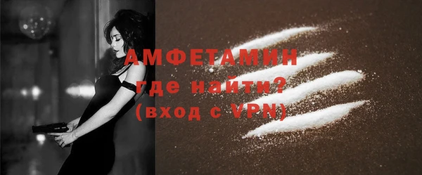 PSILOCYBIN Бородино