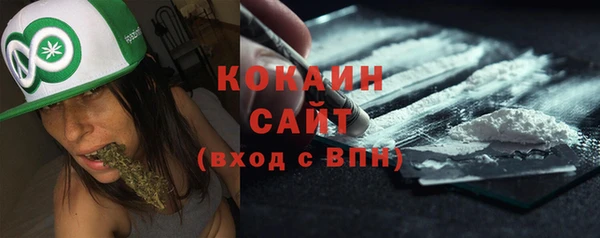 PSILOCYBIN Бородино
