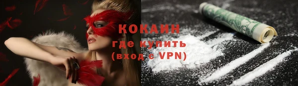 PSILOCYBIN Бородино