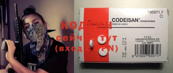 ешки Бронницы