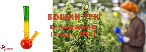 PSILOCYBIN Бородино
