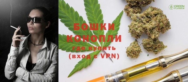 PSILOCYBIN Бородино