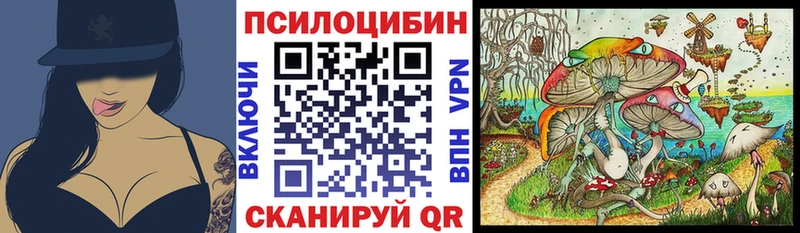 Галлюциногенные грибы Psilocybe Шахунья