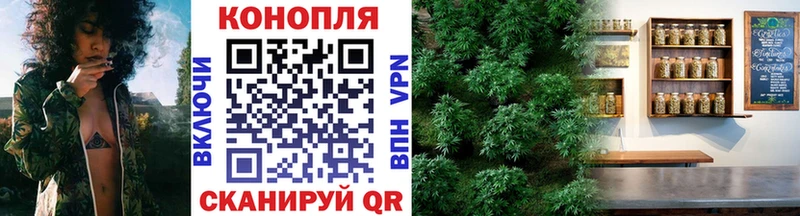 Канабис гибрид  Шахунья 